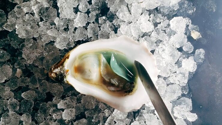 Why are oysters an aphrodisiac